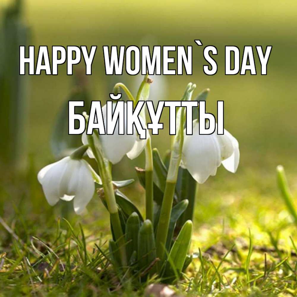 Greetings card с именем, Байқұтты happy women`s day ранние цветы 2 Greetings with text for free download 